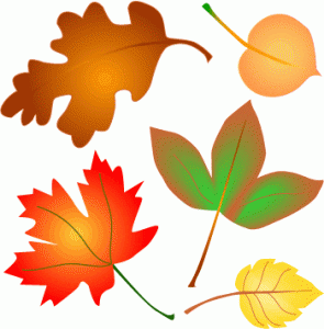 autumn-20clip-20art-autumn-leaves[1]