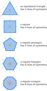 Reflective Symmetry Shapes